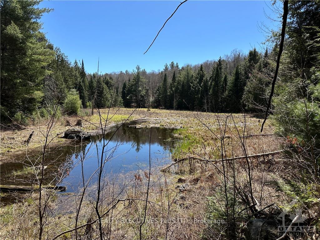 Photo 16 of PTLT 20 Dalhousie 4TH Conc B Road, Lanark Highlands, Lanark Highlands (Dalhousie) Twp — HOMEH