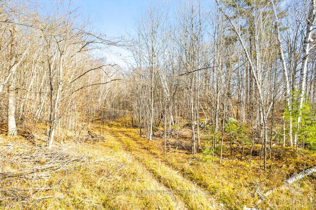Photo 26 of 1044 Lavant Mill Road, Lanark Highlands, Lanark Highlands (Dalhousie) Twp — HOMEH