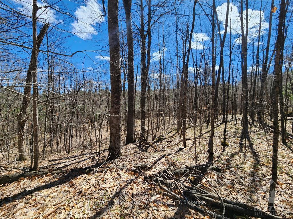 Photo 28 of 1044 Lavant Mill Road, Lanark Highlands, Lanark Highlands (Dalhousie) Twp — HOMEH