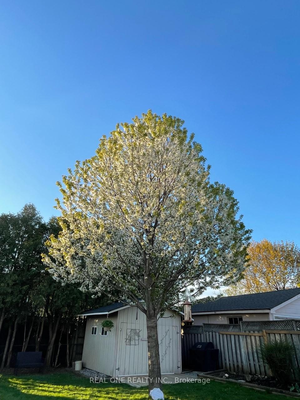 Photo 28 of 103 Burrwood Drive, Hamilton, Rolston — HOMEH