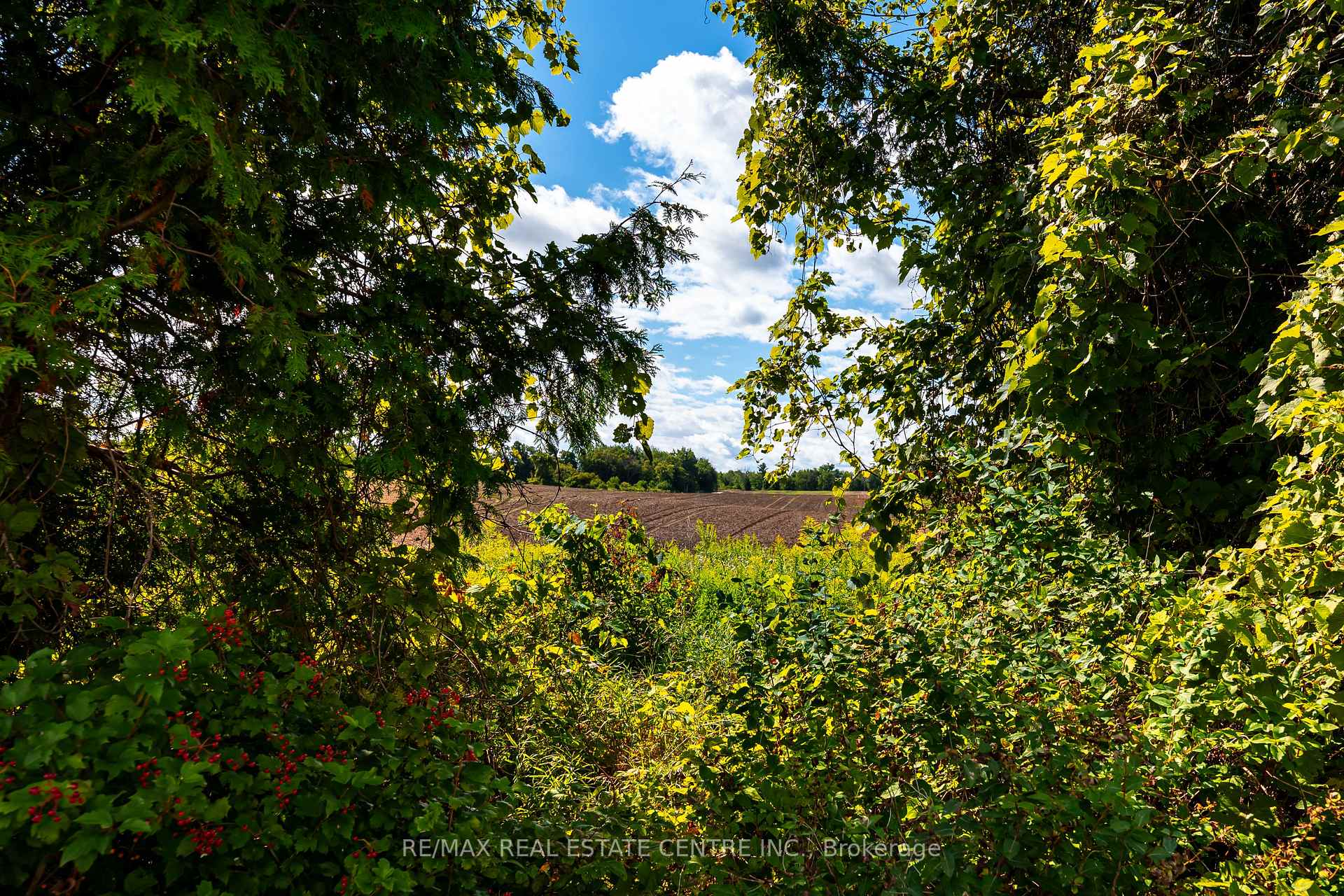 Photo 4 of 4th Line, Innisfil, Rural Innisfil — HOMEH