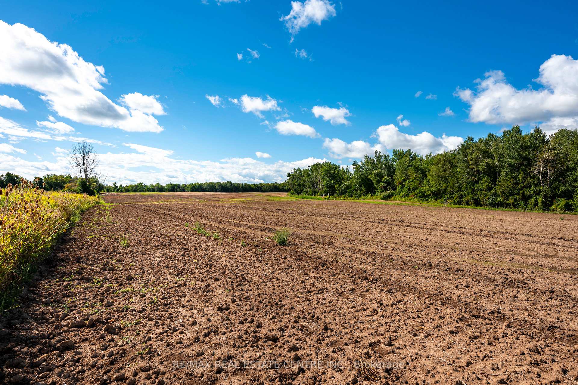 Photo 9 of 4th Line, Innisfil, Rural Innisfil — HOMEH