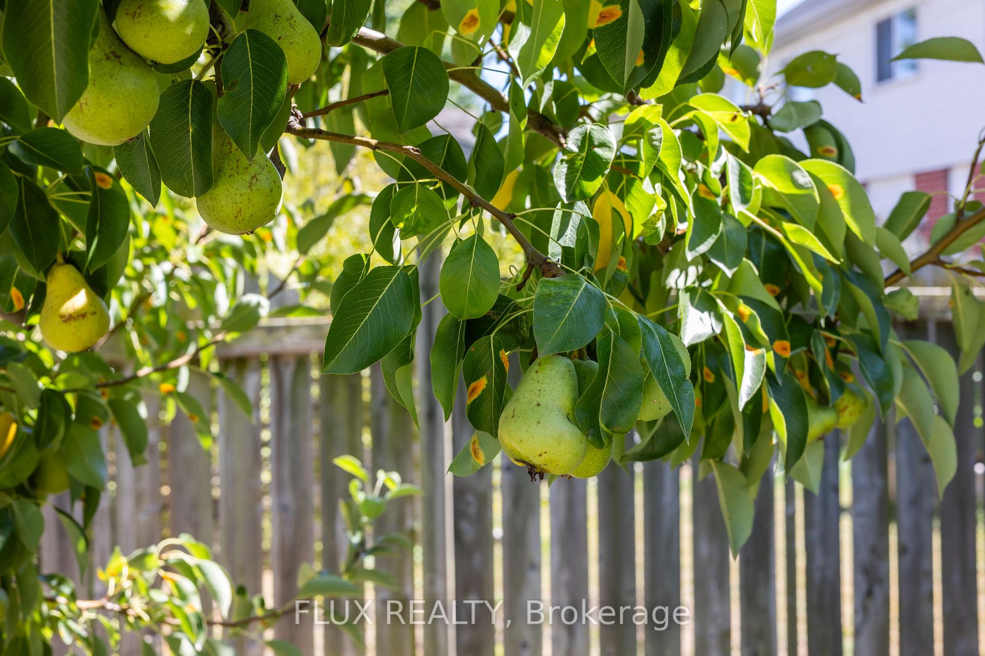Photo 43 of 2 Donnenwerth Drive, Kitchener — HOMEH