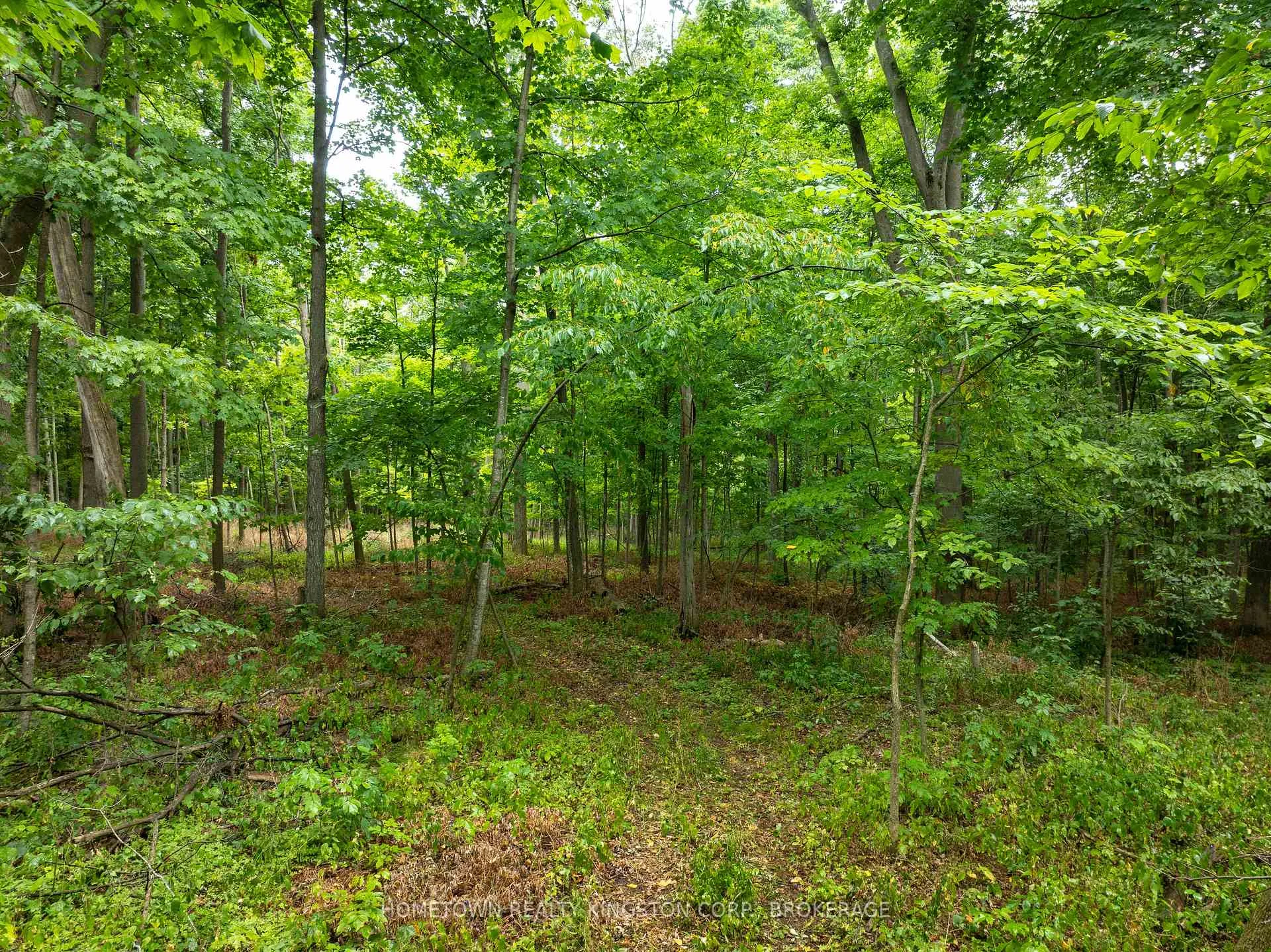 Photo 7 of 2435 Quabbin Road, Kingston, City North of 401 — HOMEH