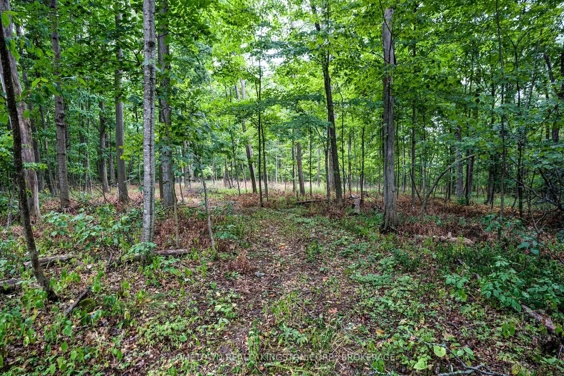 Photo 8 of 2435 Quabbin Road, Kingston, City North of 401 — HOMEH
