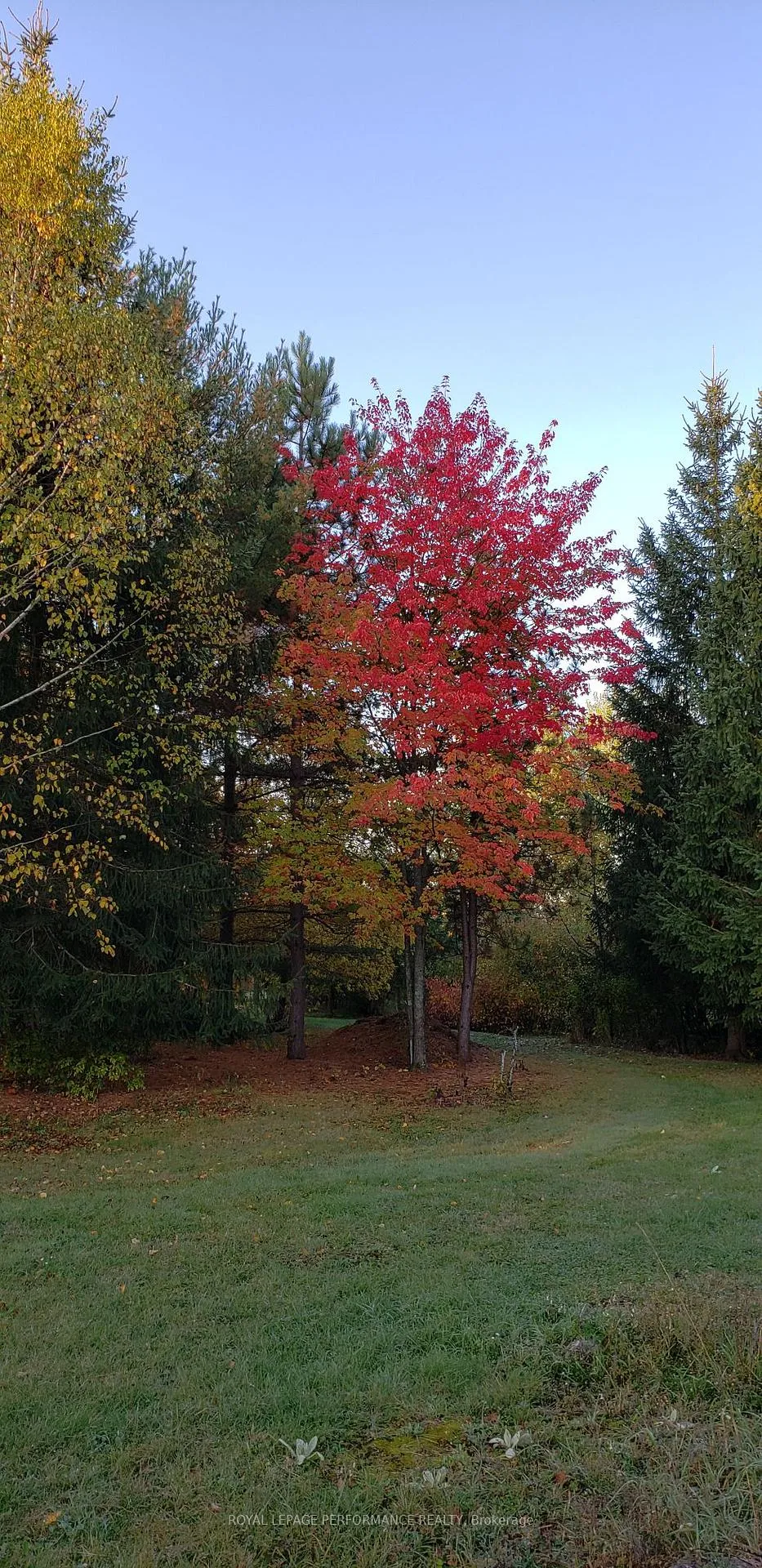 Photo 23 of 2620 Marchurst Road, Ottawa, Kanata - Kanata (North West) — HOMEH