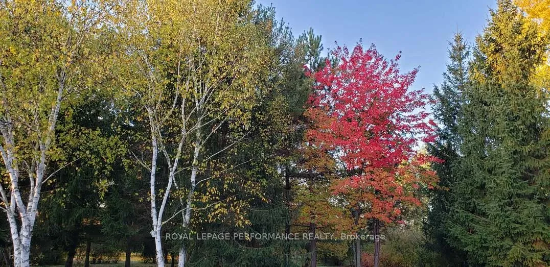 Photo 25 of 2620 Marchurst Road, Ottawa, Kanata - Kanata (North West) — HOMEH