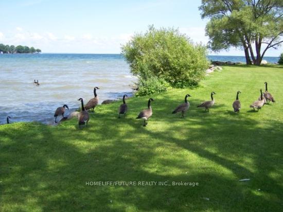 Photo 28 of 2088 Osbond Road, Innisfil, Alcona — HOMEH