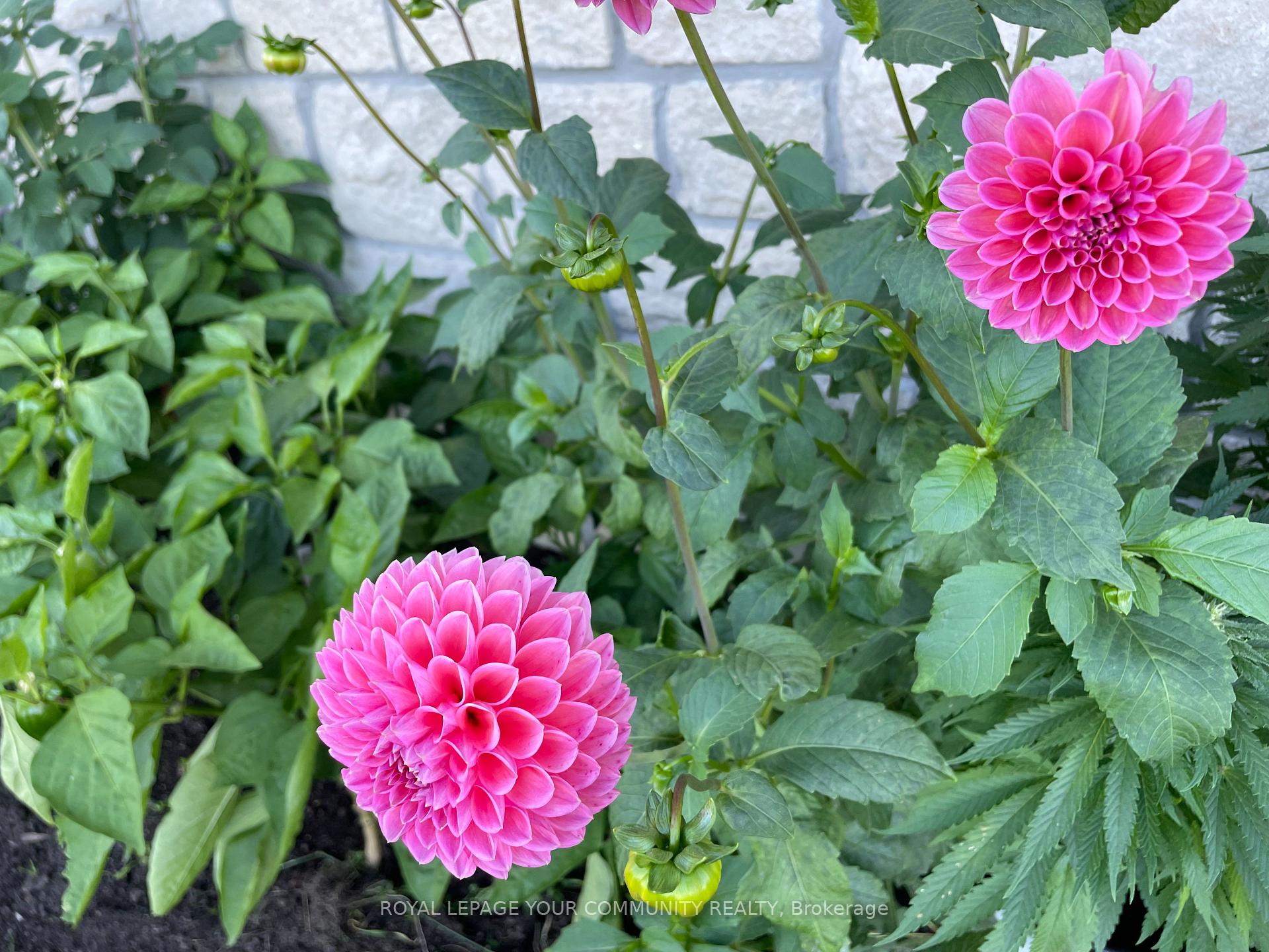 Photo 42 of 32 Delft Drive, Markham, Victoria Square — HOMEH