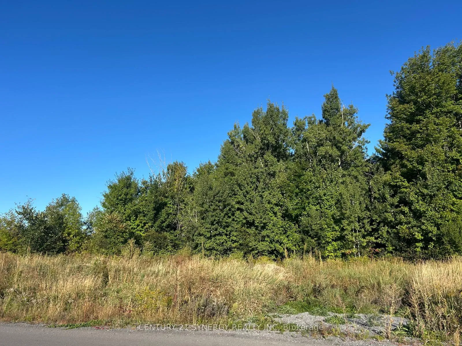 Photo 7 of 124 Derbeyshire Street, Ottawa, Kanata - Kanata (North West) — HOMEH