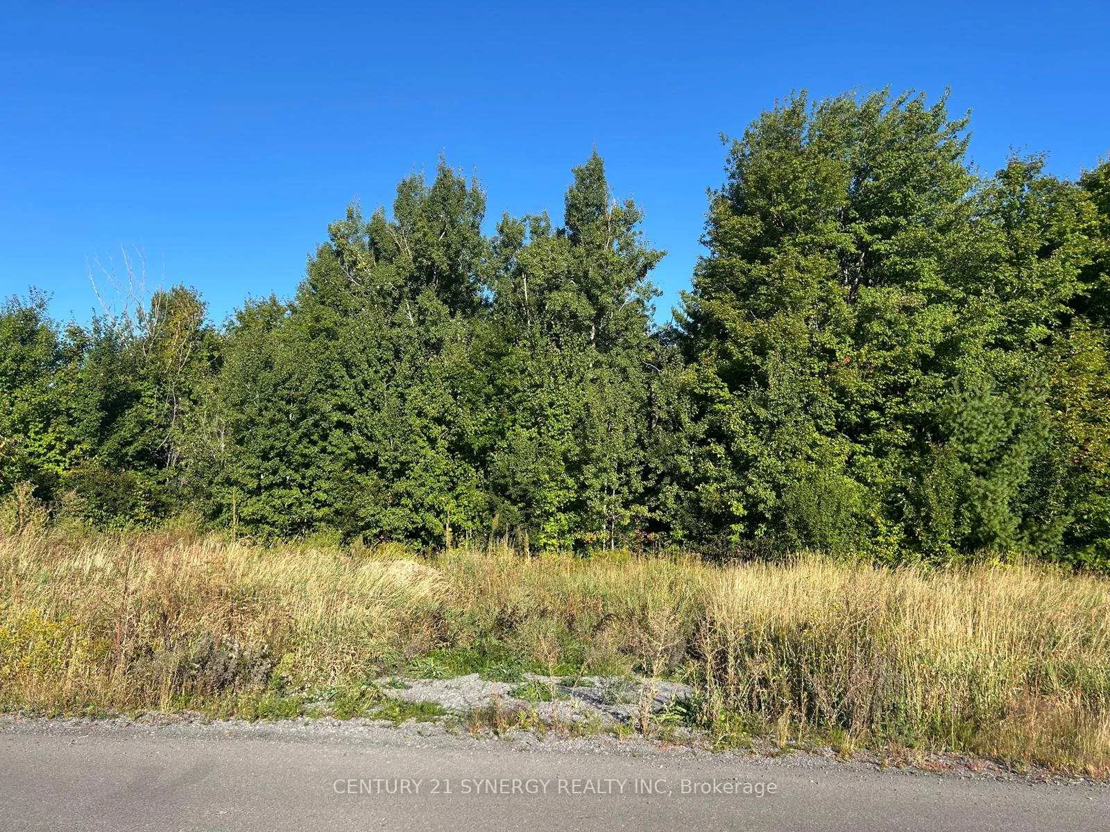 Photo 10 of 124 Derbeyshire Street, Ottawa, Kanata - Kanata (North West) — HOMEH