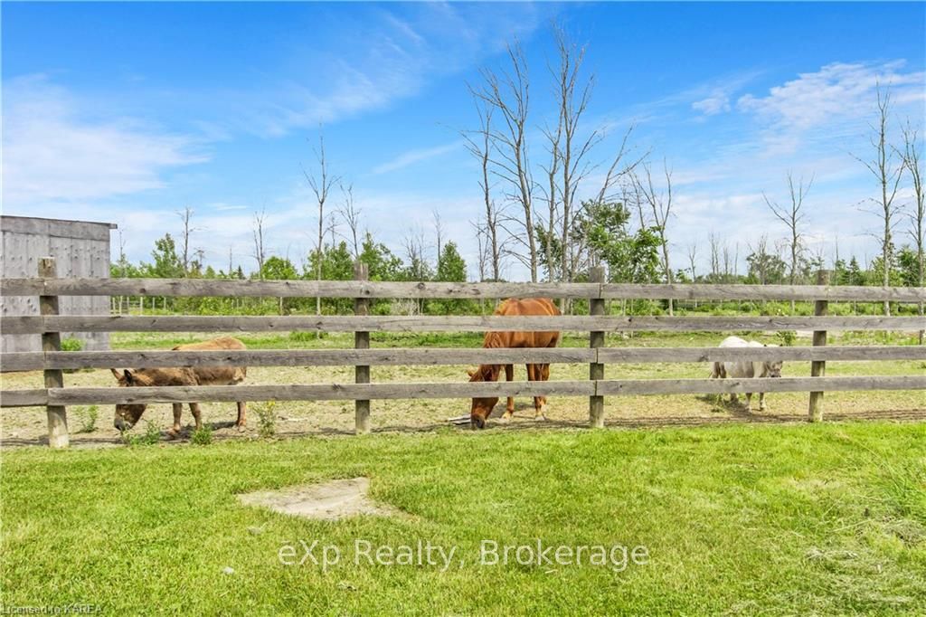 Photo 32 of 435 County 6 Road, Loyalist, Lennox and Addington - South — HOMEH