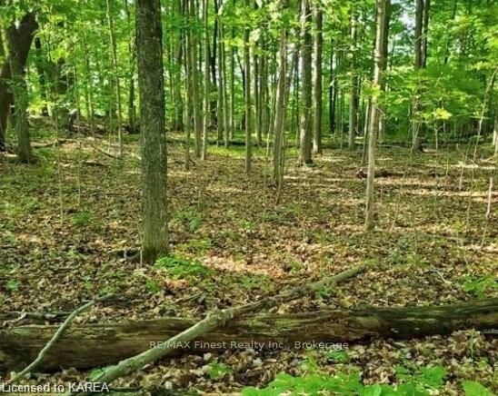 Photo 1 of LOT 43 County Road 6, Loyalist, Amherstview — HOMEH