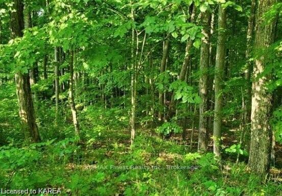 Photo 2 of LOT 43 County Road 6, Loyalist, Amherstview — HOMEH