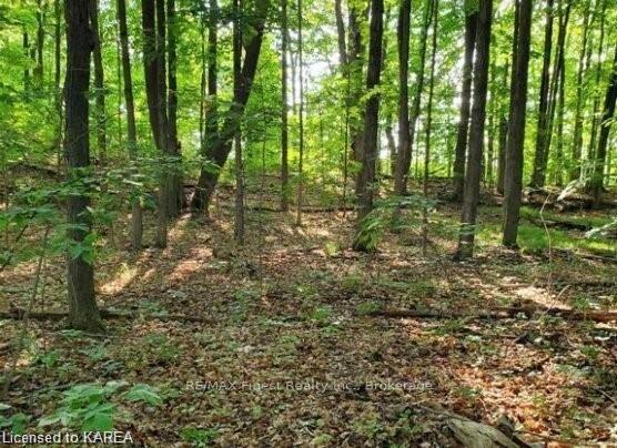 Photo 3 of LOT 43 County Road 6, Loyalist, Amherstview — HOMEH