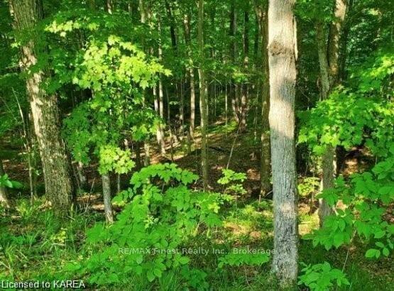 Photo 4 of LOT 43 County Road 6, Loyalist, Amherstview — HOMEH