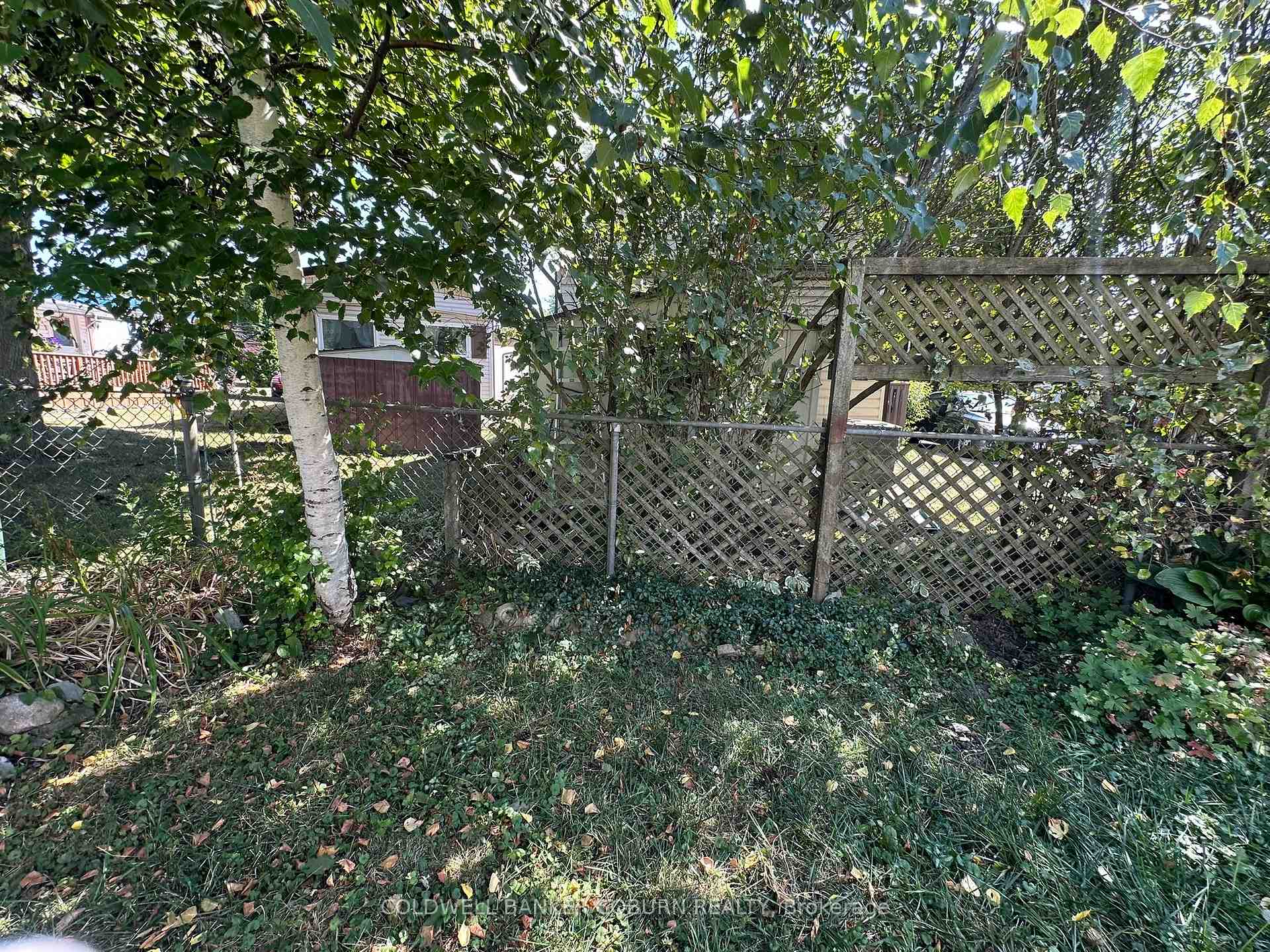 Photo 13 of 354 Weller Avenue, Kingston, Rideau — HOMEH