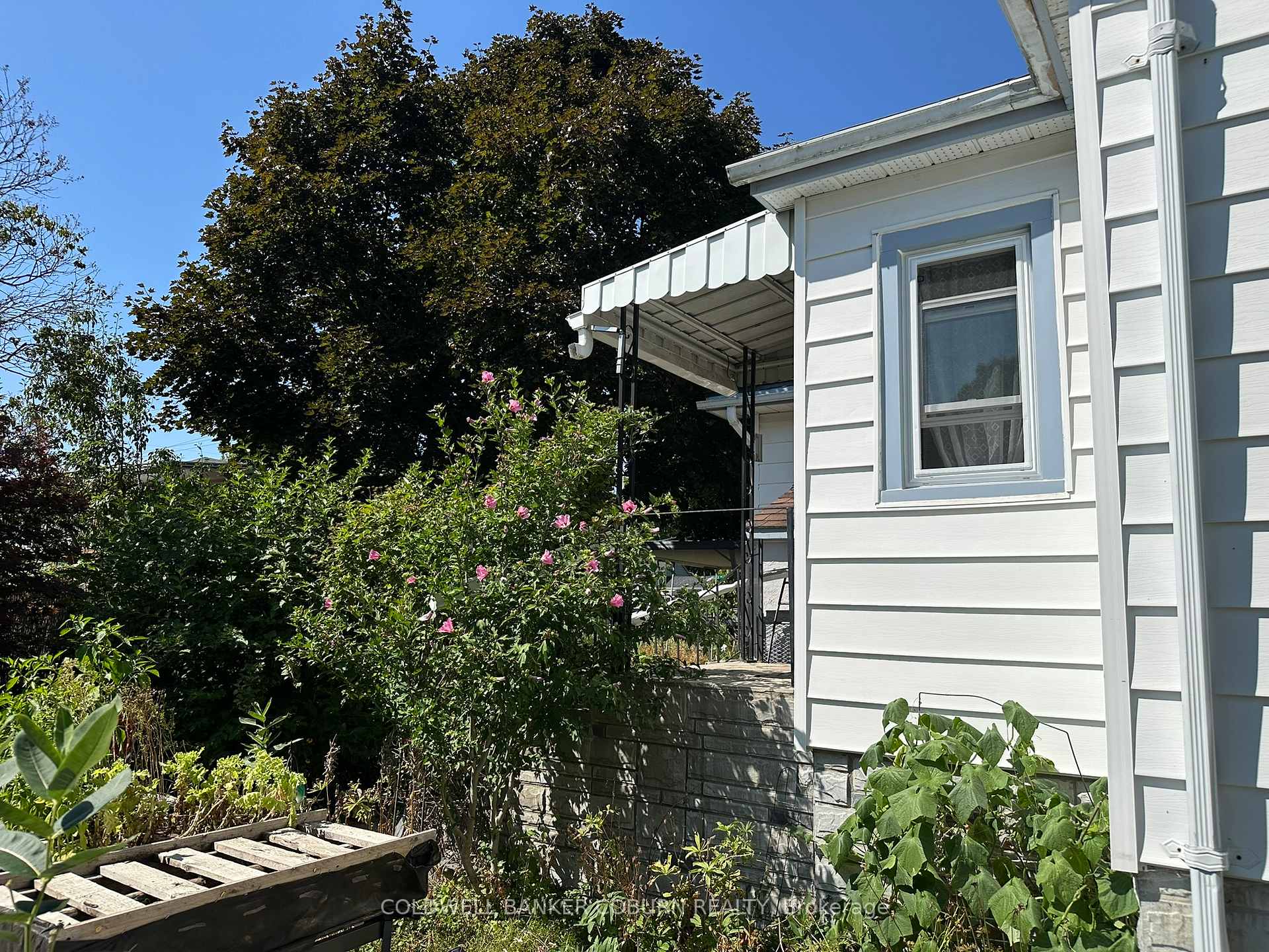 Photo 15 of 354 Weller Avenue, Kingston, Rideau — HOMEH