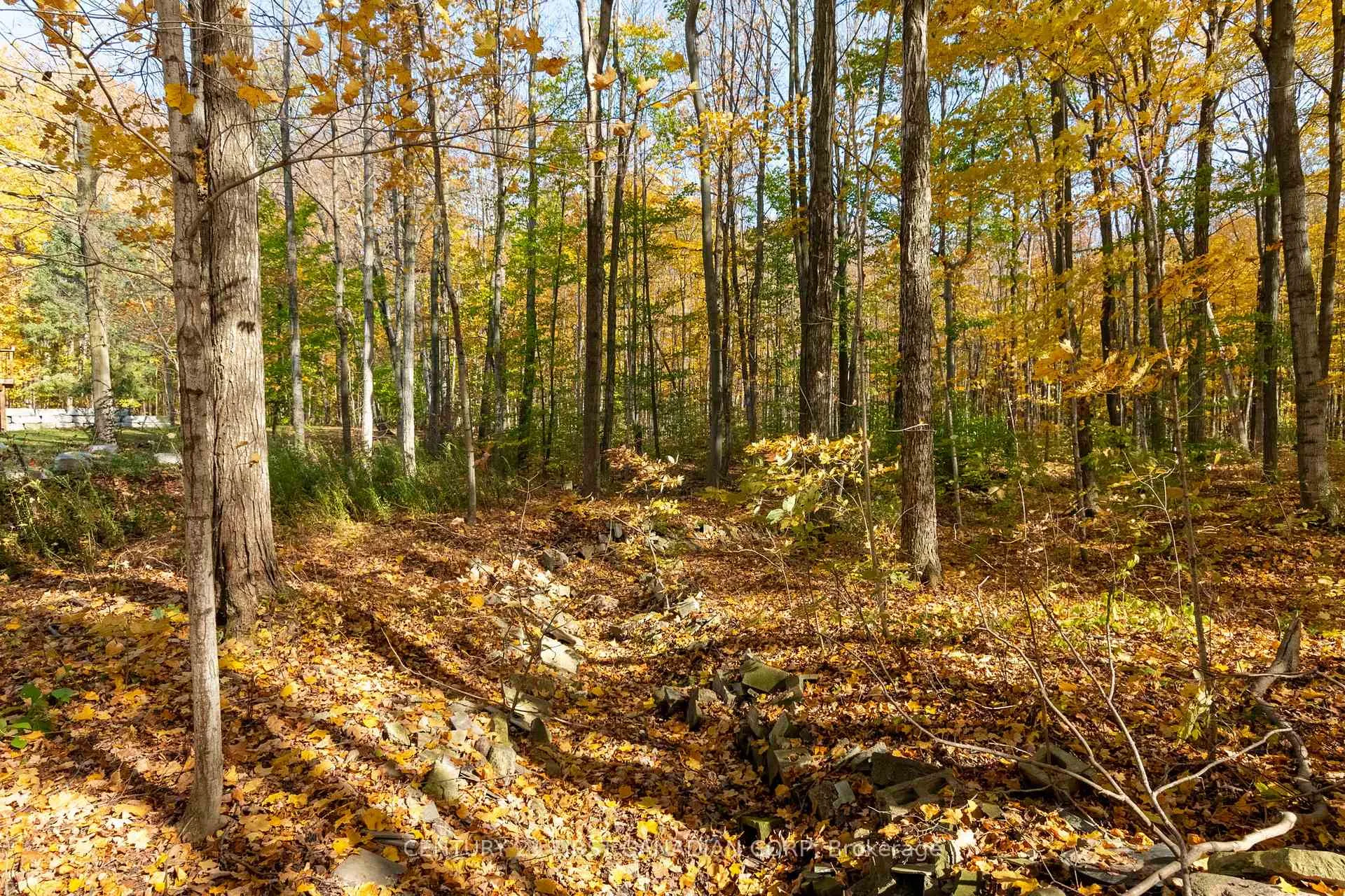 Photo 7 of 10771 Melrose Drive, Middlesex Centre, Rural Middlesex Centre — HOMEH