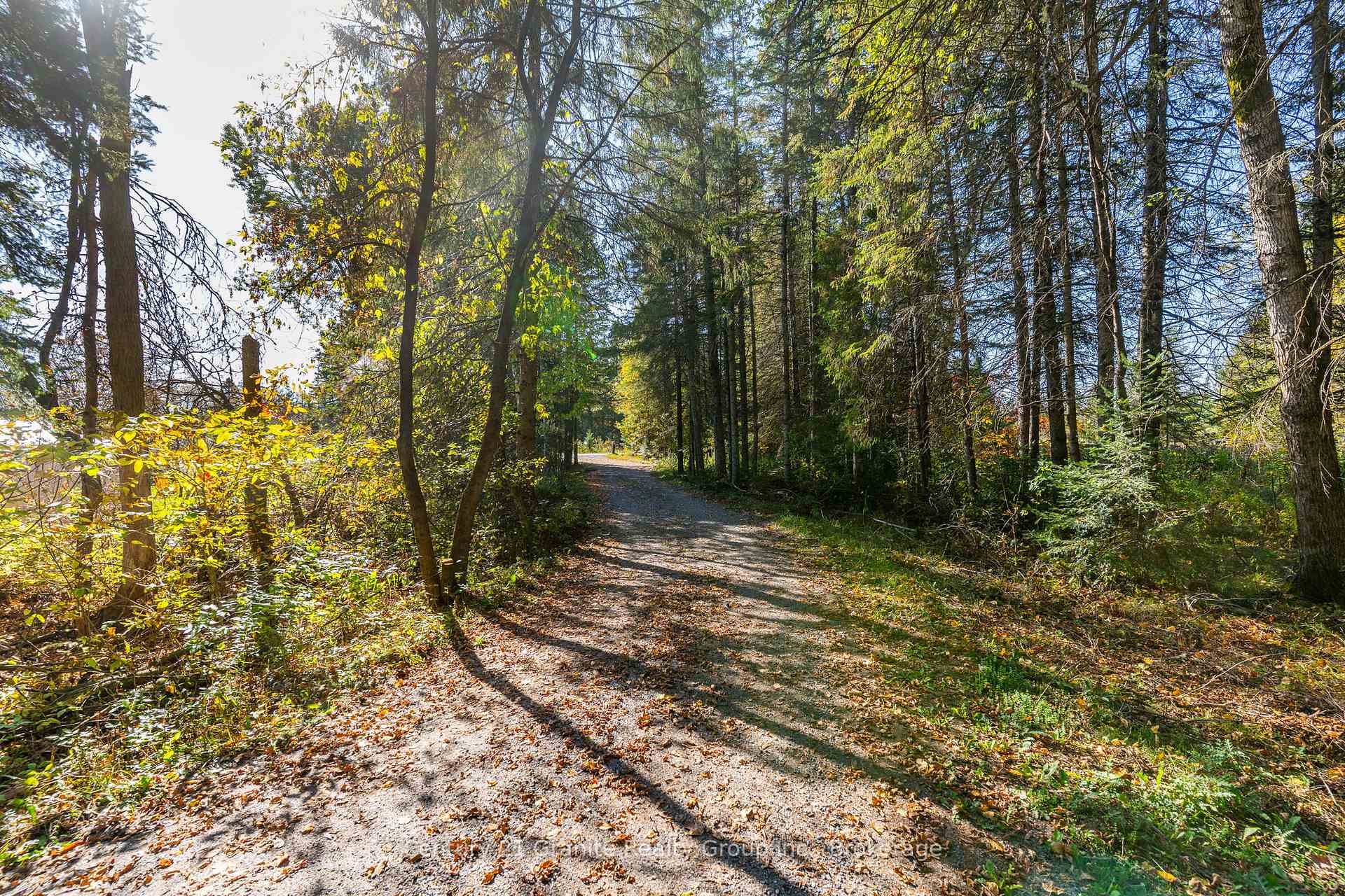 Photo 3 of 4739 Gelert Road, Minden Hills, Snowdon — HOMEH