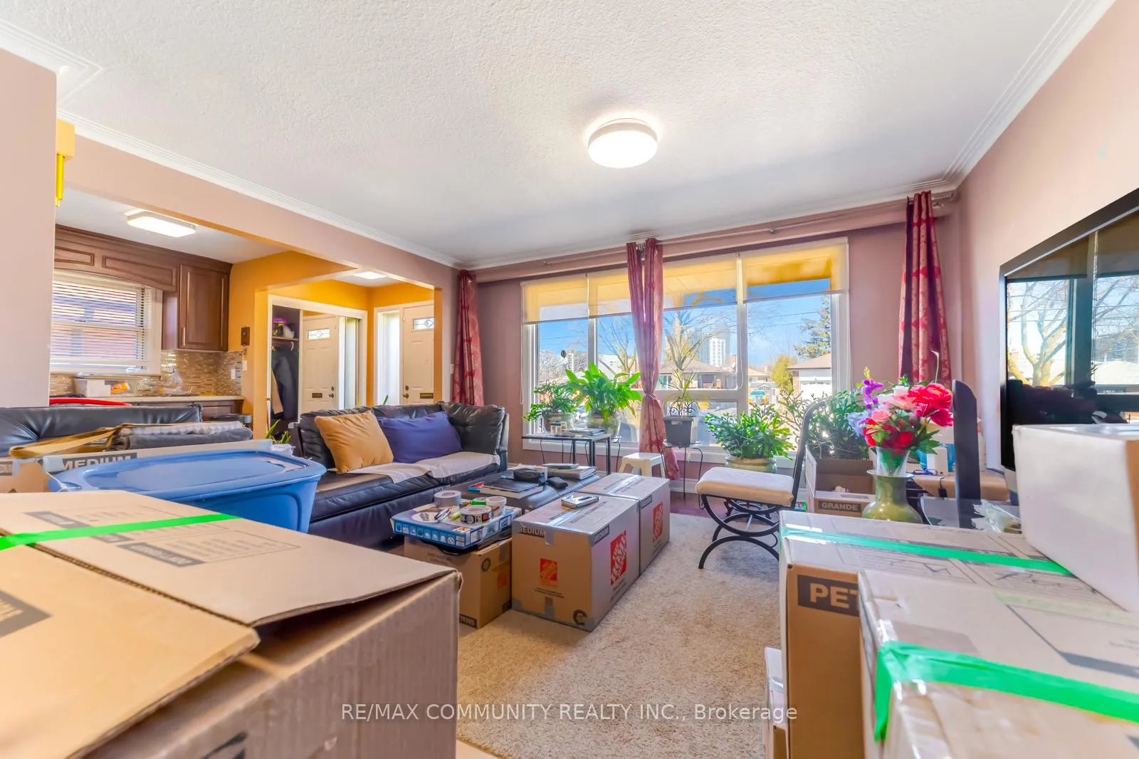 Photo 10 of 17 Madrid Street, Scarborough, Bendale — HOMEH
