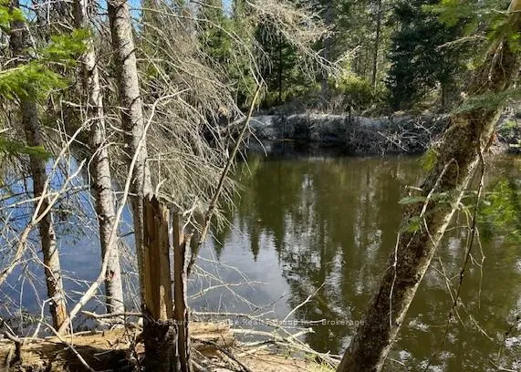 Photo of 0 County Road 503