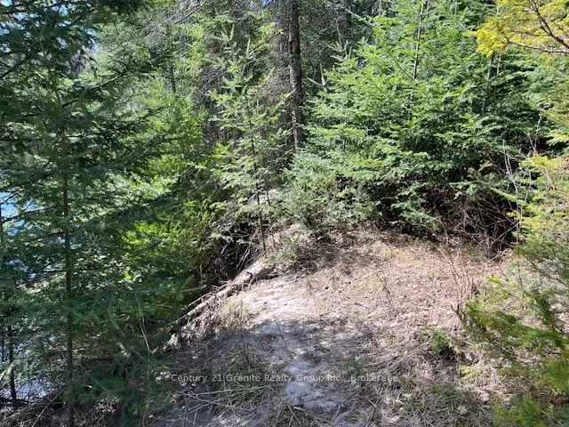 Photo 7 of County Road 503, Minden Hills, Snowdon — HOMEH