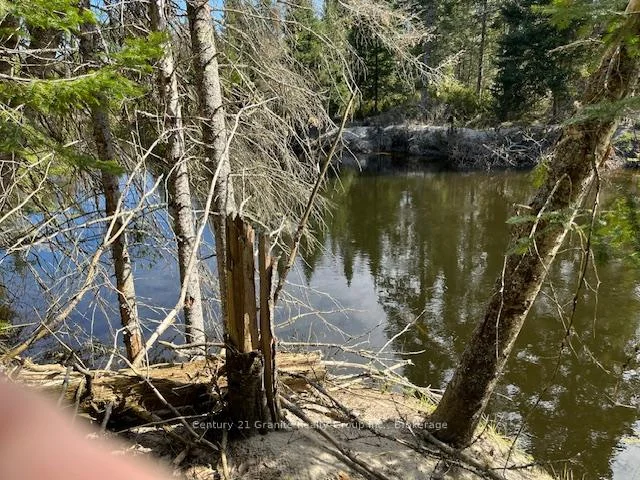 Photo 10 of County Road 503, Minden Hills, Snowdon — HOMEH