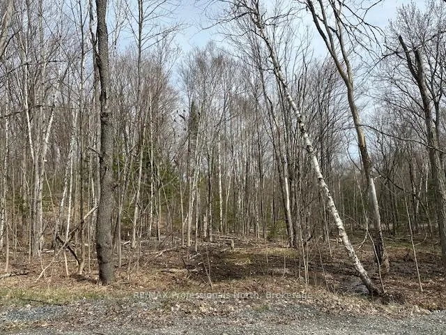 Photo 5 of Lot Silverwood Road, Minden Hills, Snowdon — HOMEH