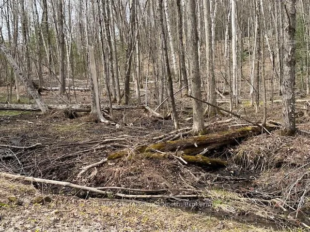 Photo 6 of Lot Silverwood Road, Minden Hills, Snowdon — HOMEH