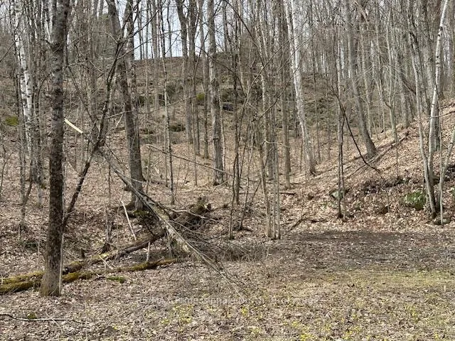 Photo 7 of Lot Silverwood Road, Minden Hills, Snowdon — HOMEH
