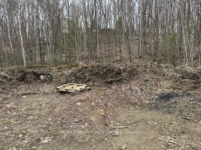 Photo 10 of Lot Silverwood Road, Minden Hills, Snowdon — HOMEH