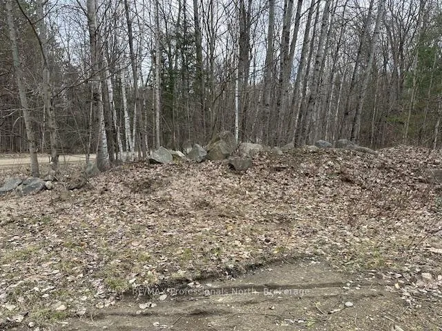 Photo 12 of Lot Silverwood Road, Minden Hills, Snowdon — HOMEH