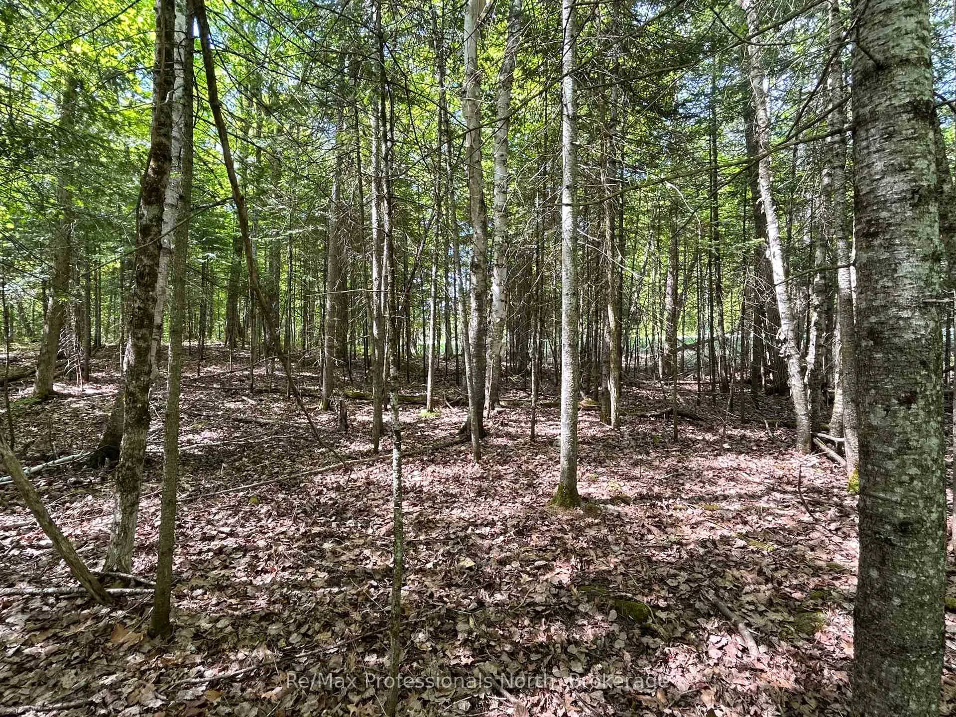 Photo 2 of Sharon Lake Drive, Minden Hills, Minden — HOMEH