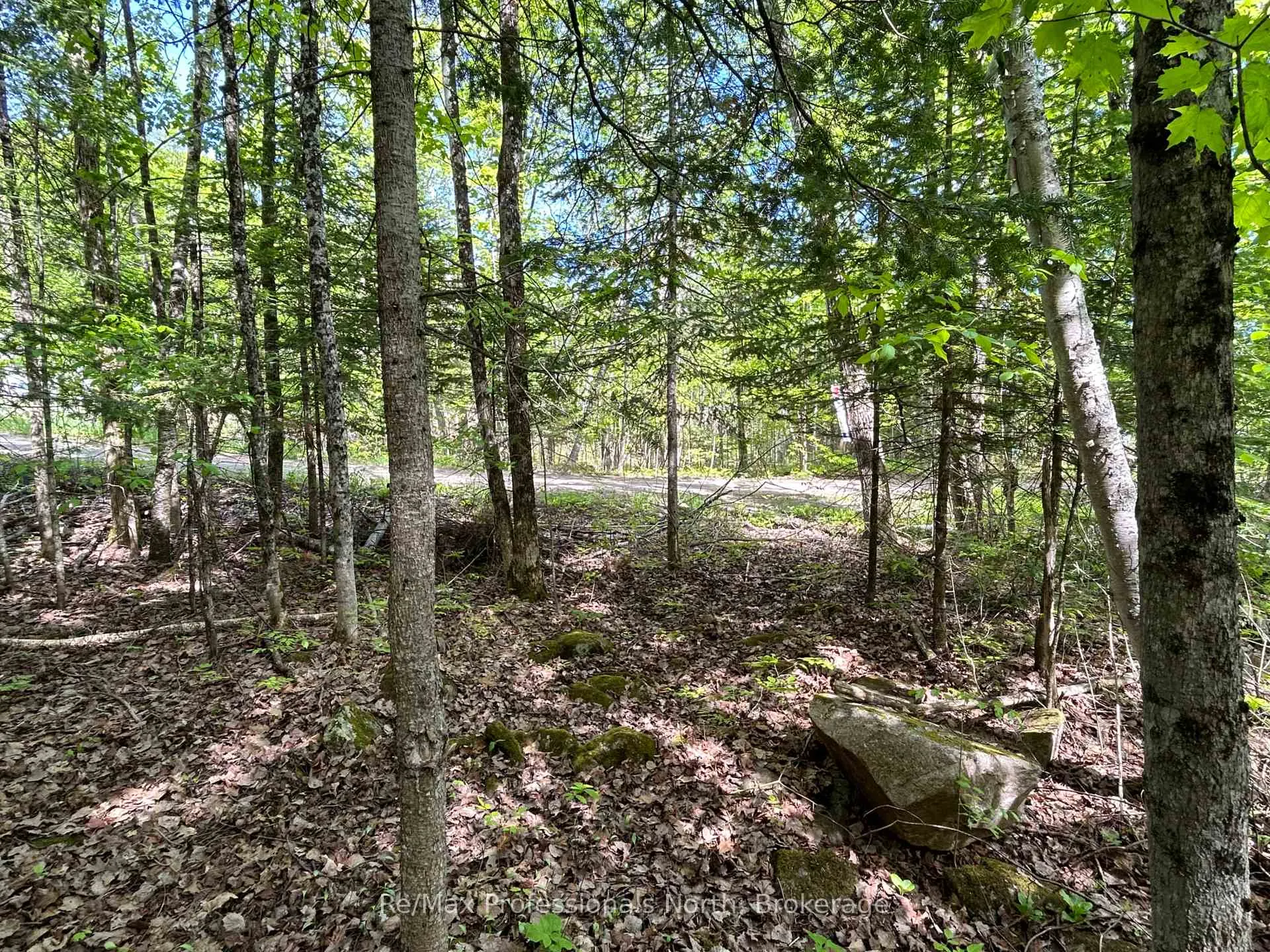 Photo 3 of Sharon Lake Drive, Minden Hills, Minden — HOMEH