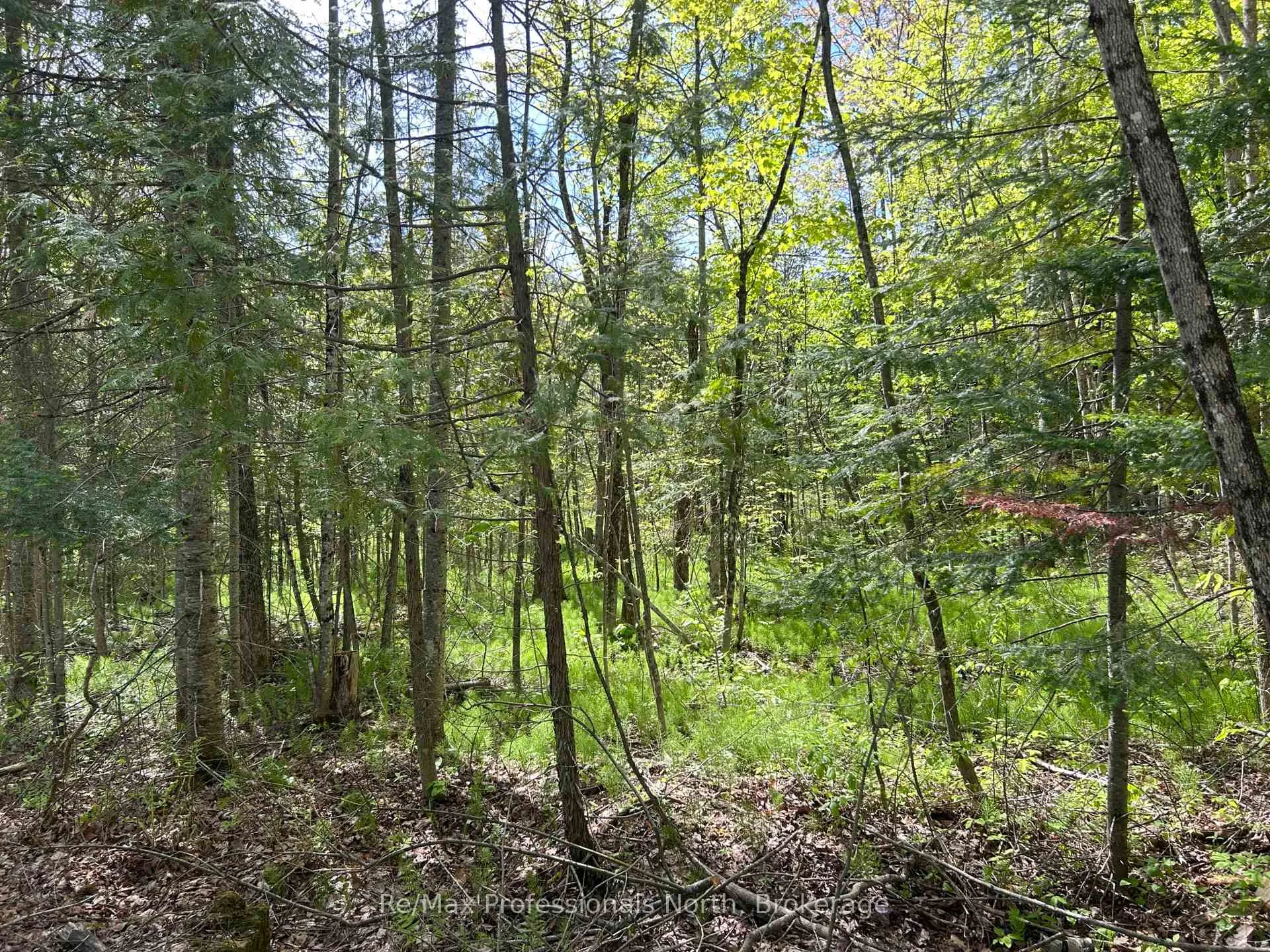 Photo 4 of Sharon Lake Drive, Minden Hills, Minden — HOMEH
