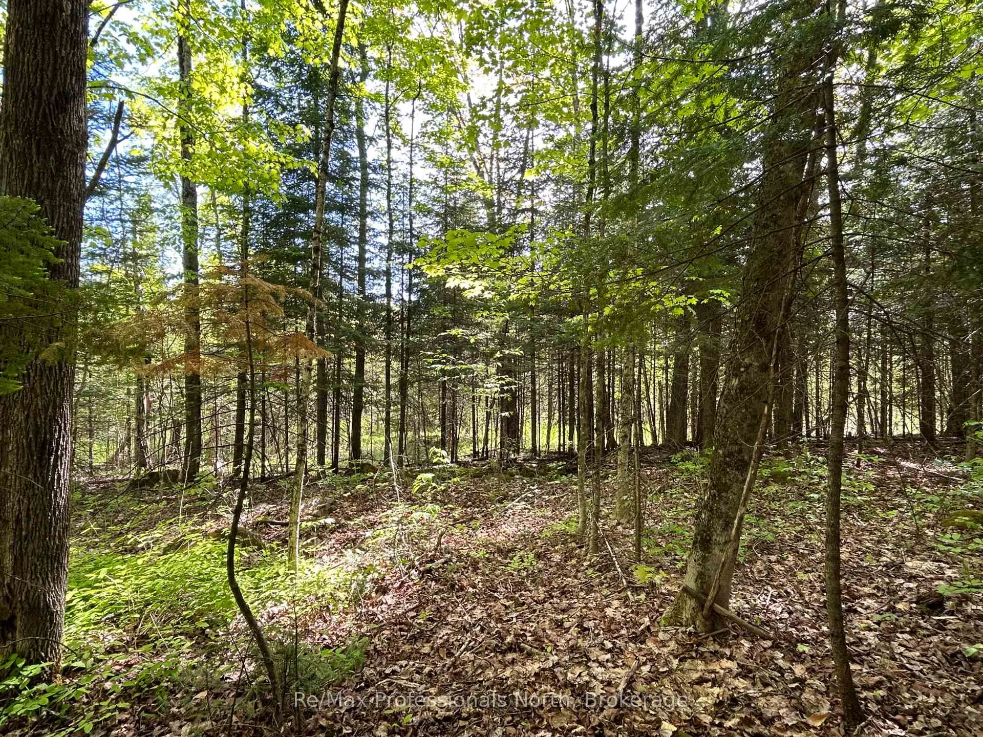 Photo 5 of Sharon Lake Drive, Minden Hills, Minden — HOMEH