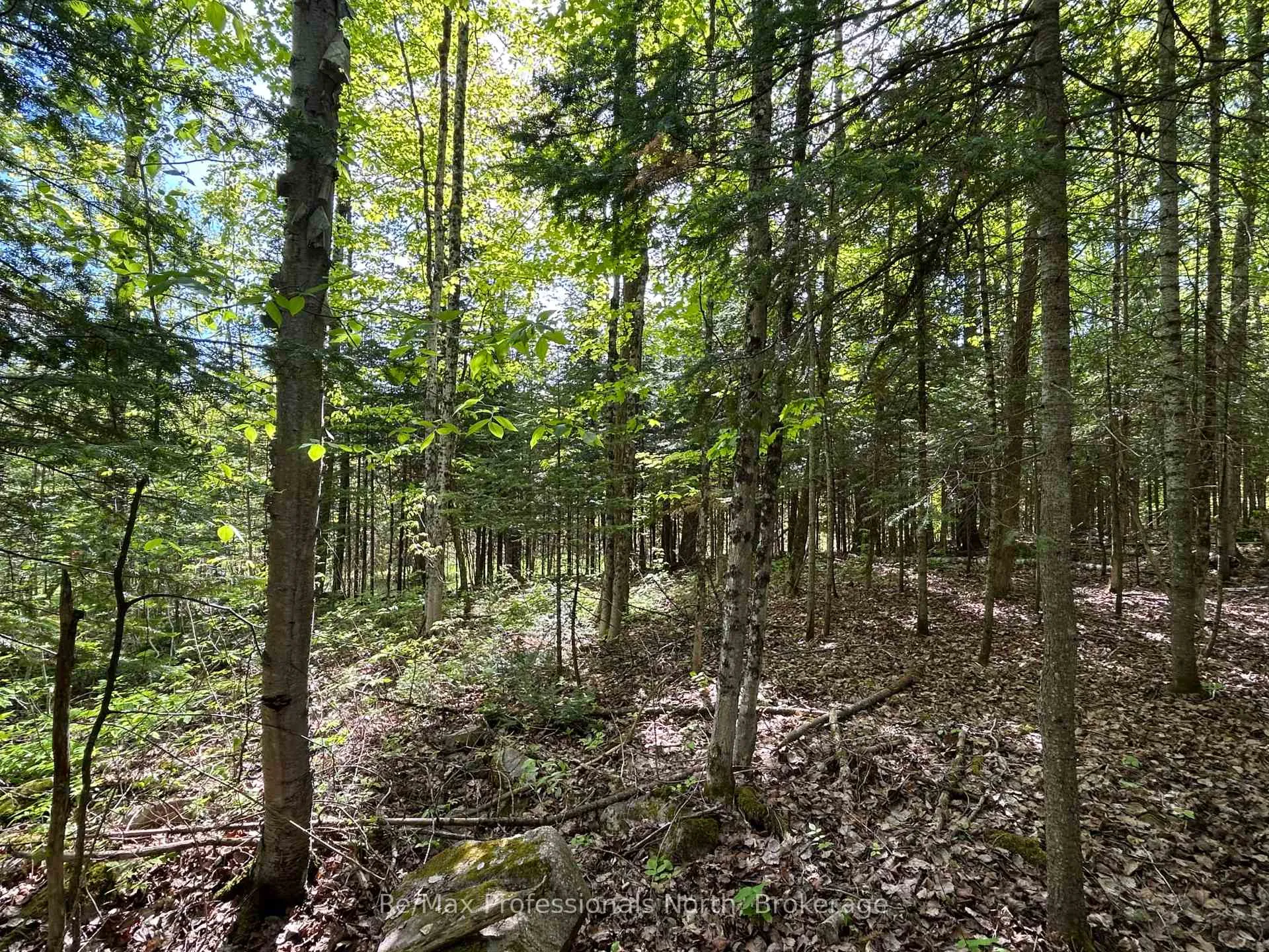 Photo 6 of Sharon Lake Drive, Minden Hills, Minden — HOMEH