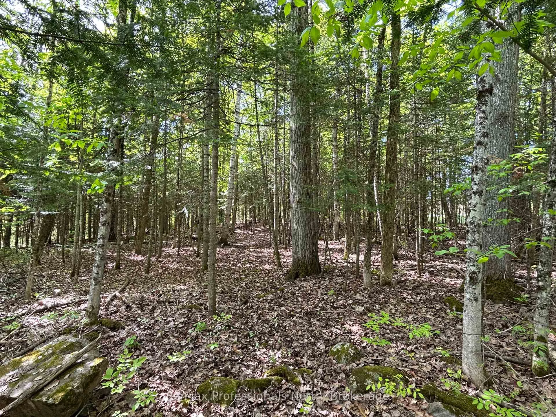 Photo 7 of Sharon Lake Drive, Minden Hills, Minden — HOMEH