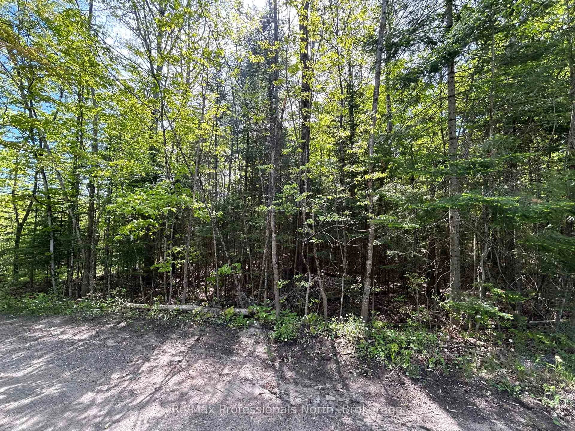 Photo 8 of Sharon Lake Drive, Minden Hills, Minden — HOMEH