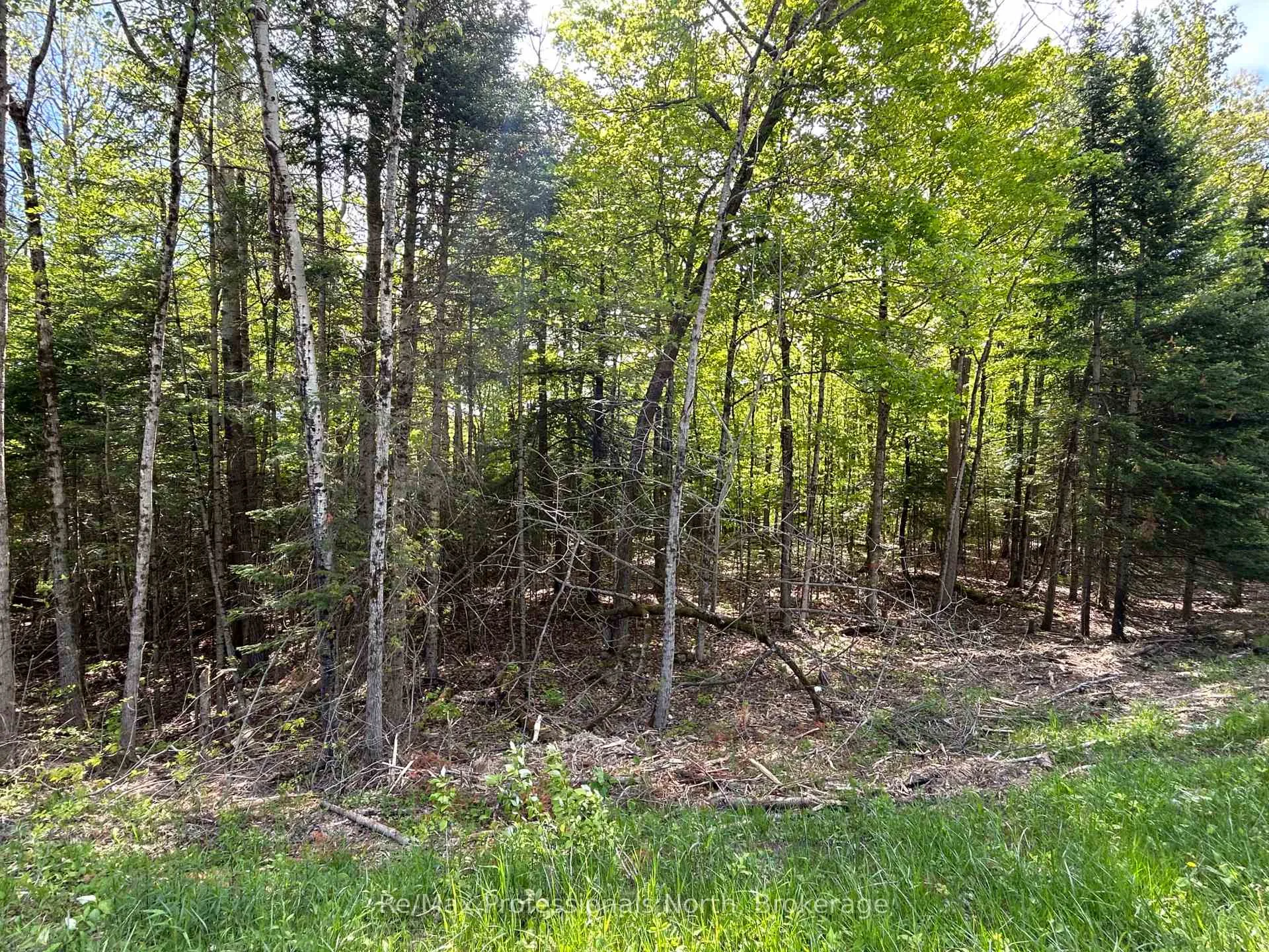 Photo 10 of Sharon Lake Drive, Minden Hills, Minden — HOMEH