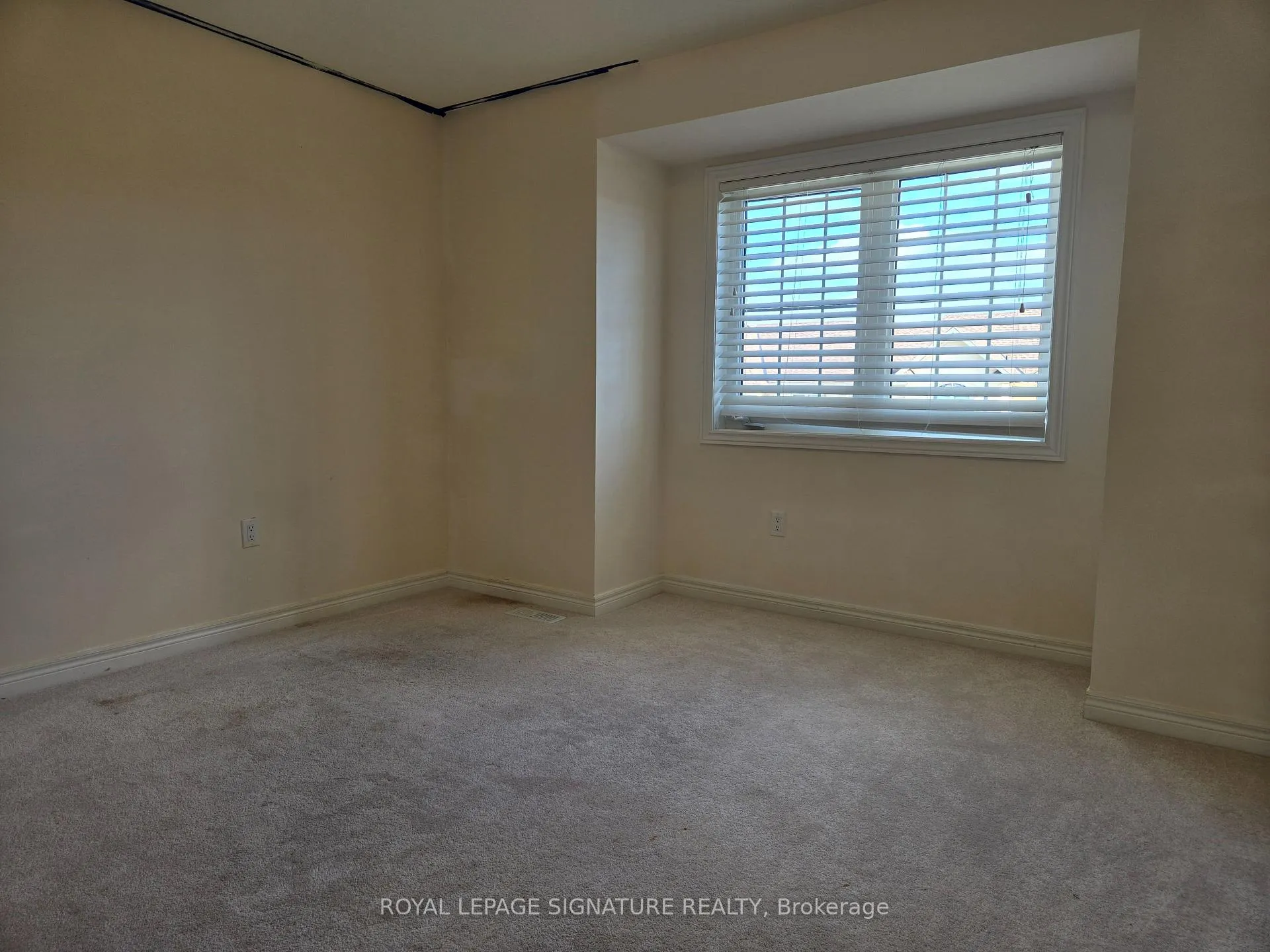 Photo 19 of 8 Beasley Grove, Hamilton, Meadowlands — HOMEH