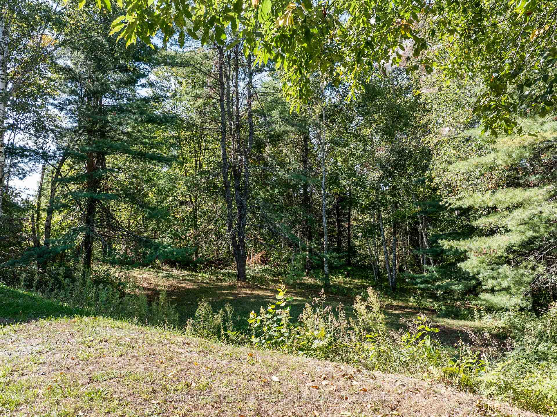 Photo 30 of 733 Bobcaygeon Road, Minden Hills, Anson — HOMEH