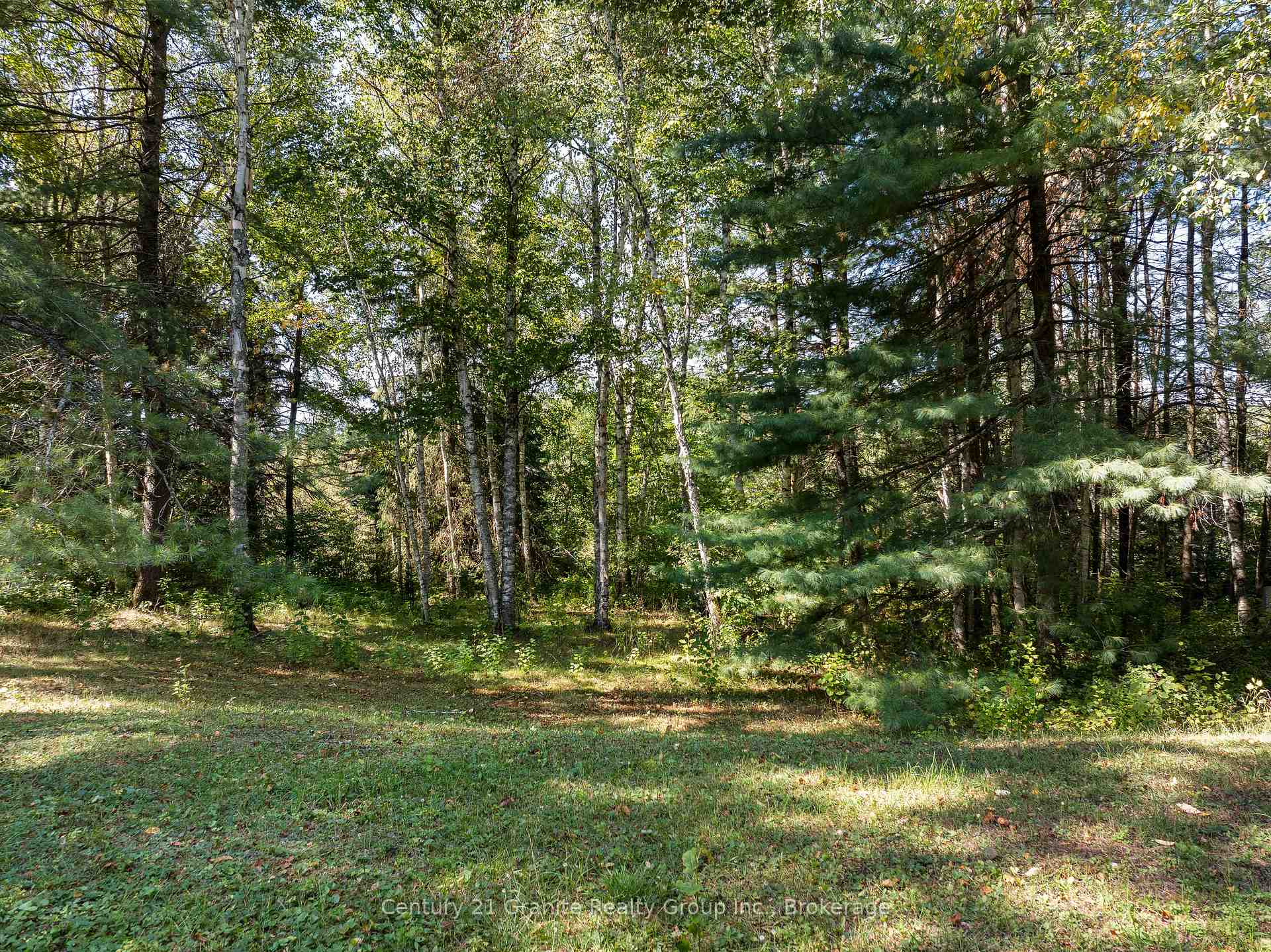 Photo 32 of 733 Bobcaygeon Road, Minden Hills, Anson — HOMEH
