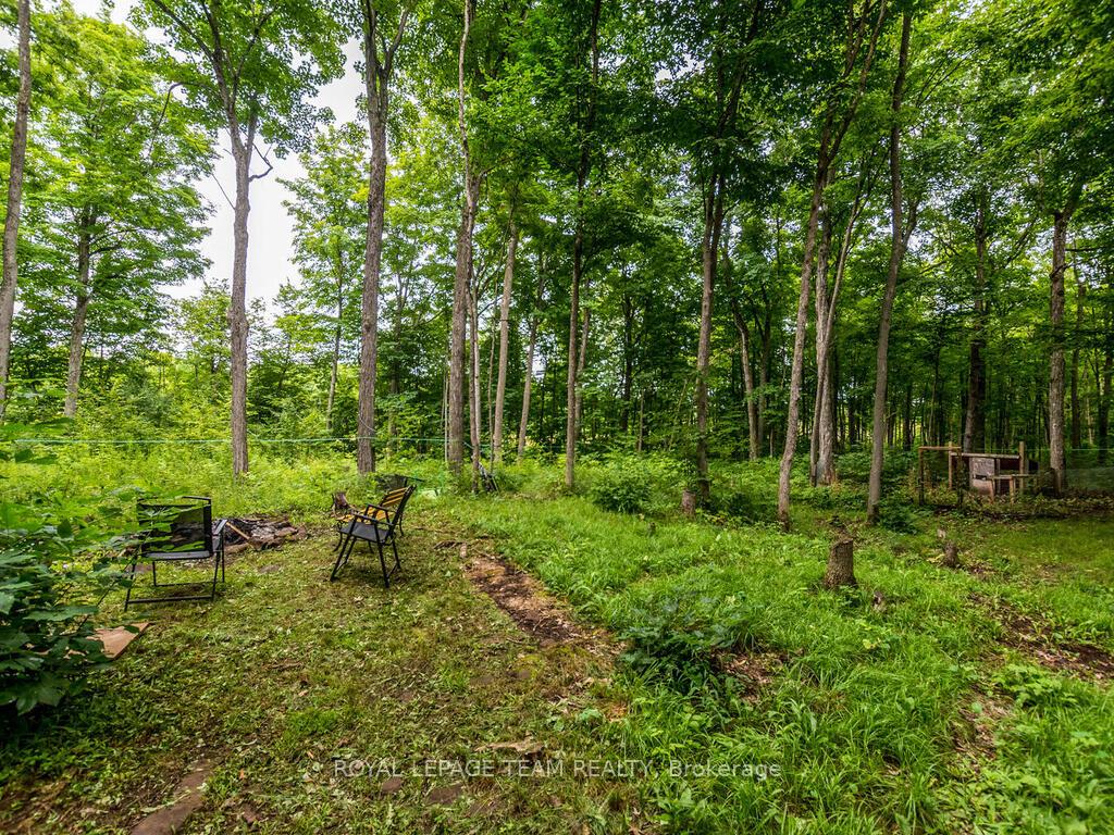 Photo 35 of 6677 Roger Stevens Drive N, Montague, Montague Twp — HOMEH