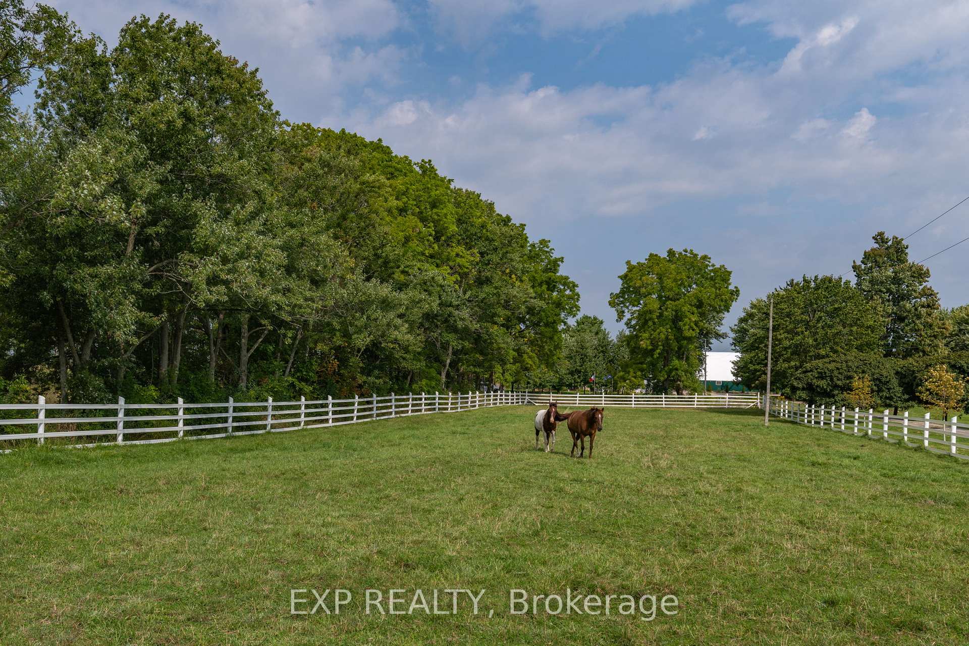 Photo 12 of 8101 Decker Drive, Middlesex Centre, Rural Middlesex Centre — HOMEH