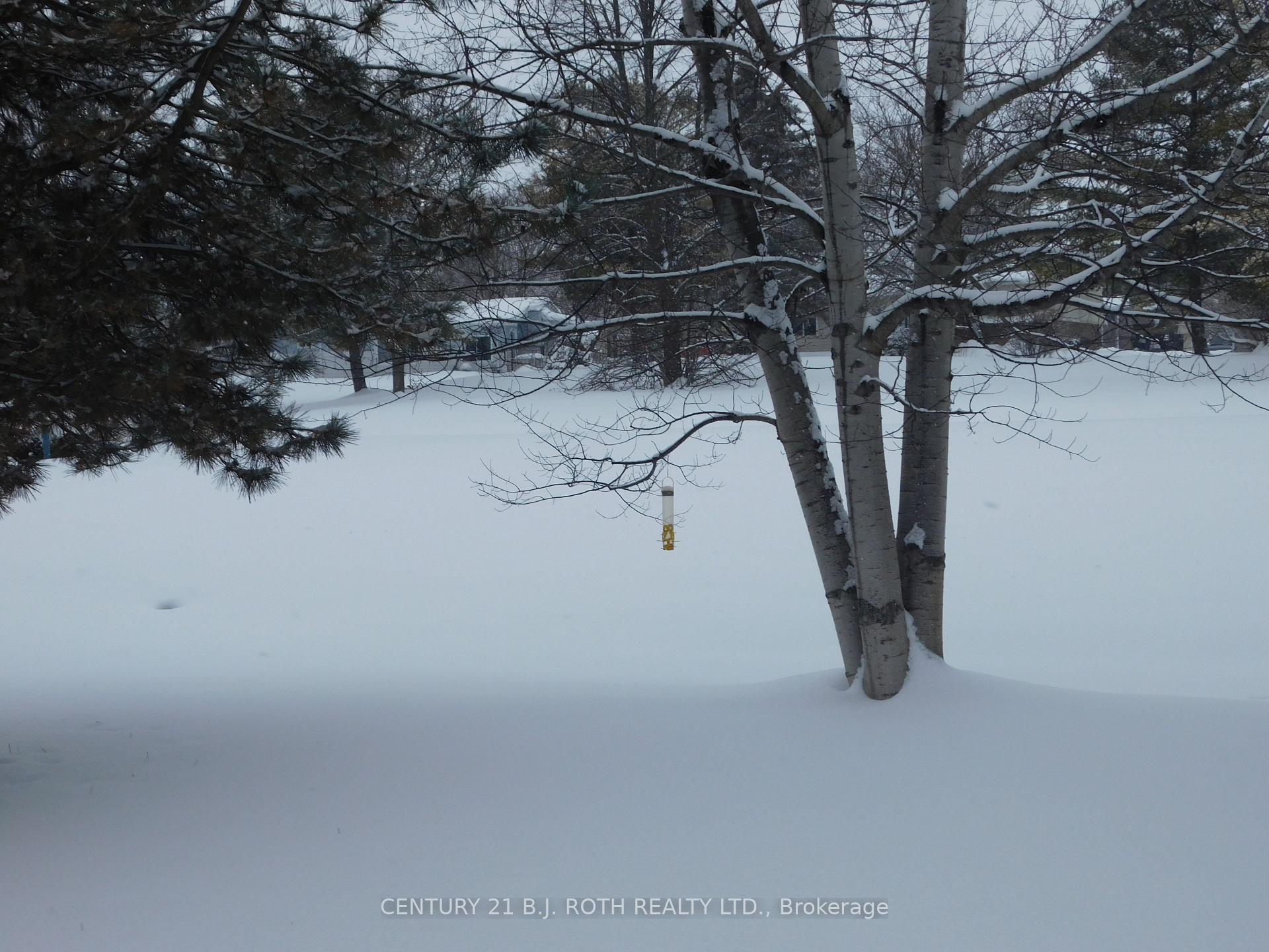 Photo 11 of 8 Norris Arm, Innisfil, Rural Innisfil — HOMEH