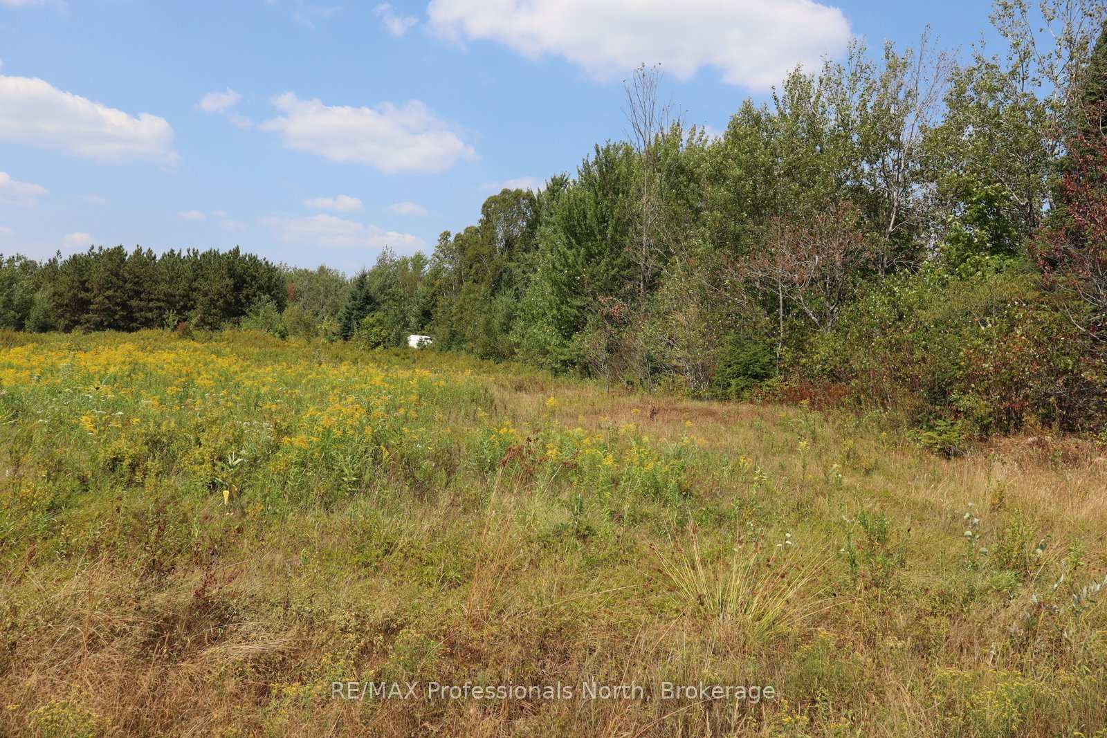Photo 4 of 1042 Piper Glen Road, Minden Hills, Minden — HOMEH