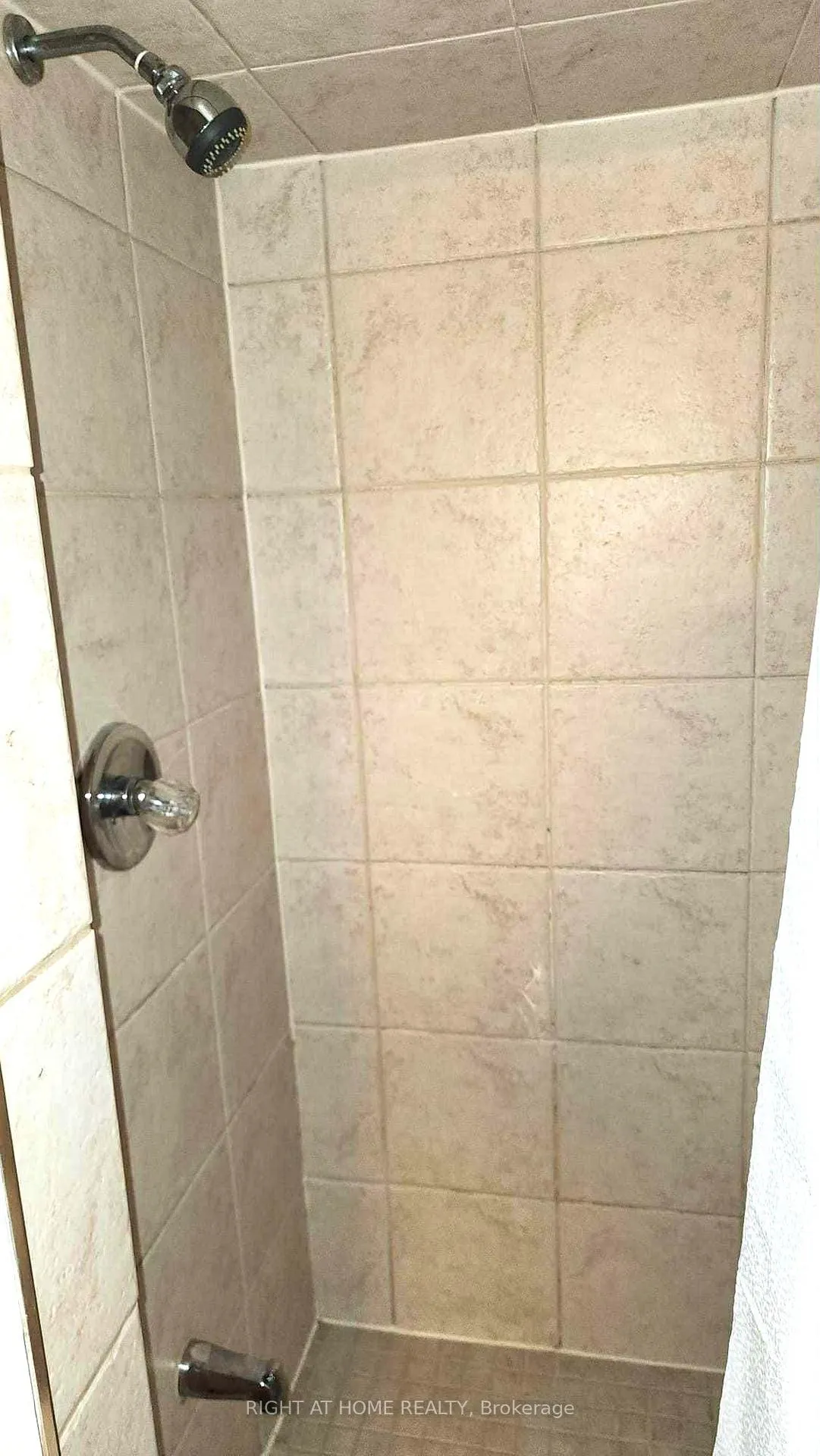 Photo 18 of Unit BASEMENT, 44 Meadowlands Boulevard, Hamilton, Meadowlands — HOMEH