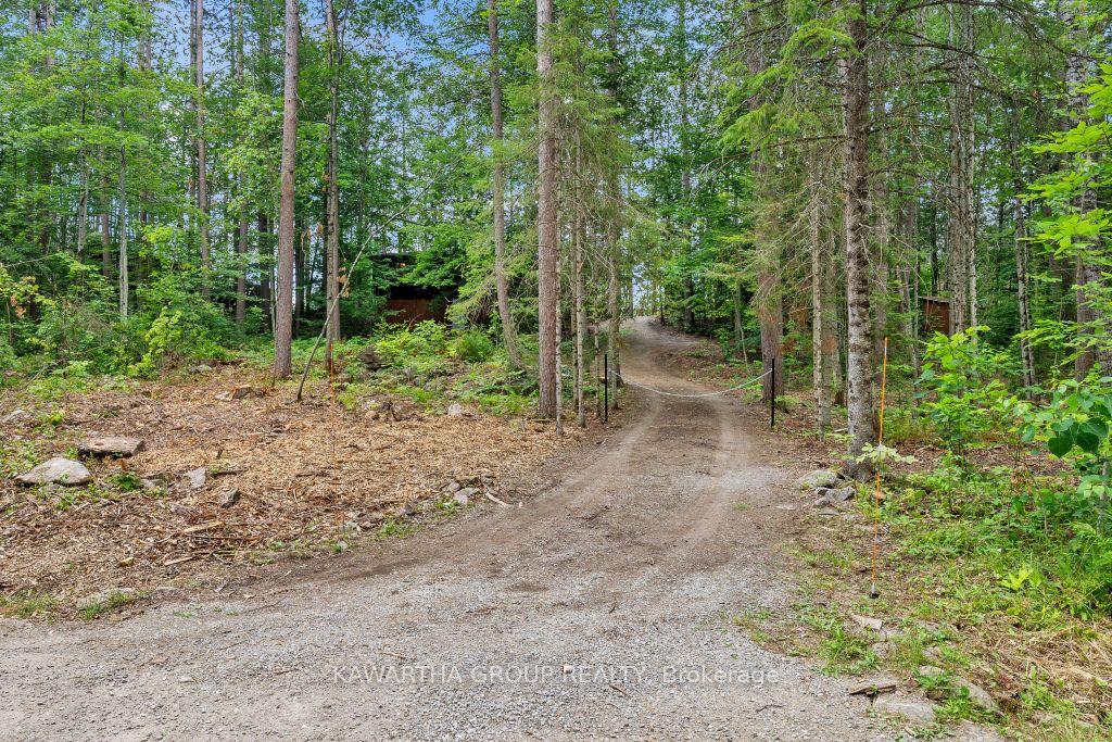 Photo 7 of 1339 Spar Lake Road, Minden Hills, Lutterworth — HOMEH